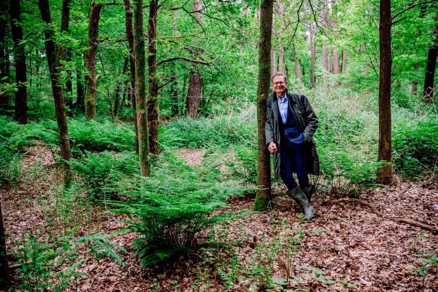 ‘Hopen op een golf van vergroening’